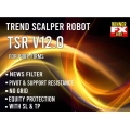 Winner TSR V12 EA ROBOT + H1 Setfile GOLD,EU WINRATE 95% +Unlimited License (MT4)